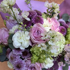 638357867_1890466231585491_6652583932629150759_n