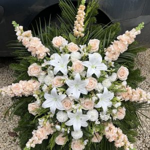 640585336_931442519573481_7722577237268635197_n