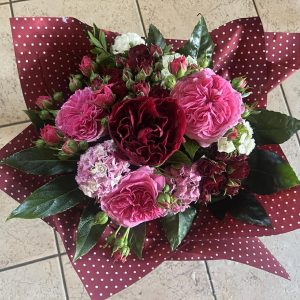 641336073_940783651866062_3037930840708933457_n