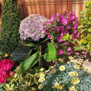 644136144_853014251077149_3293801548243762234_n