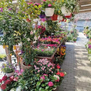 646713869_1642548770254621_7970128762544030101_n